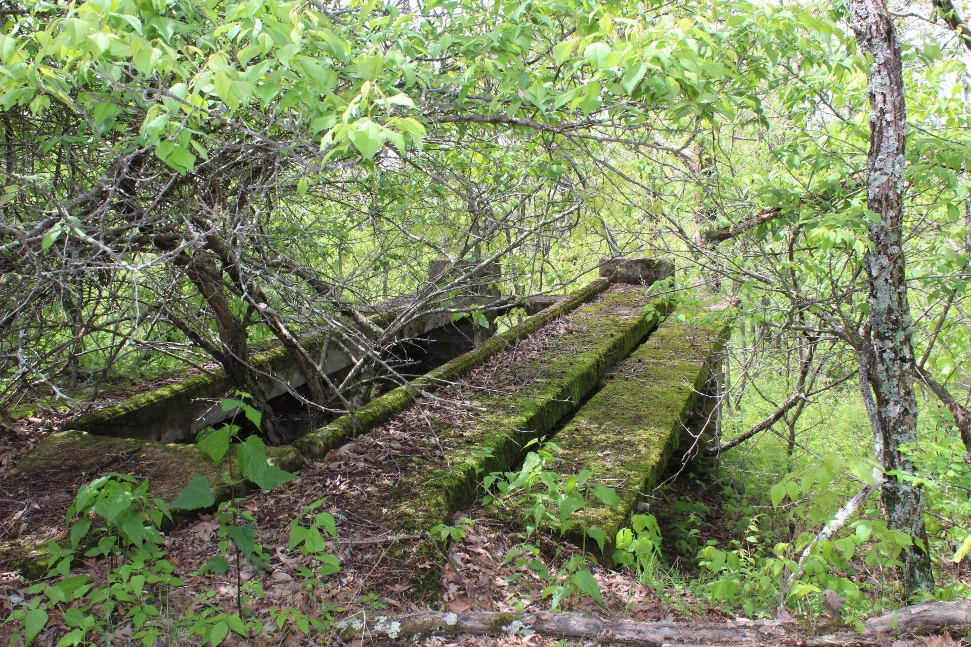 image.webp
