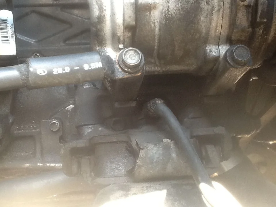 image.webp