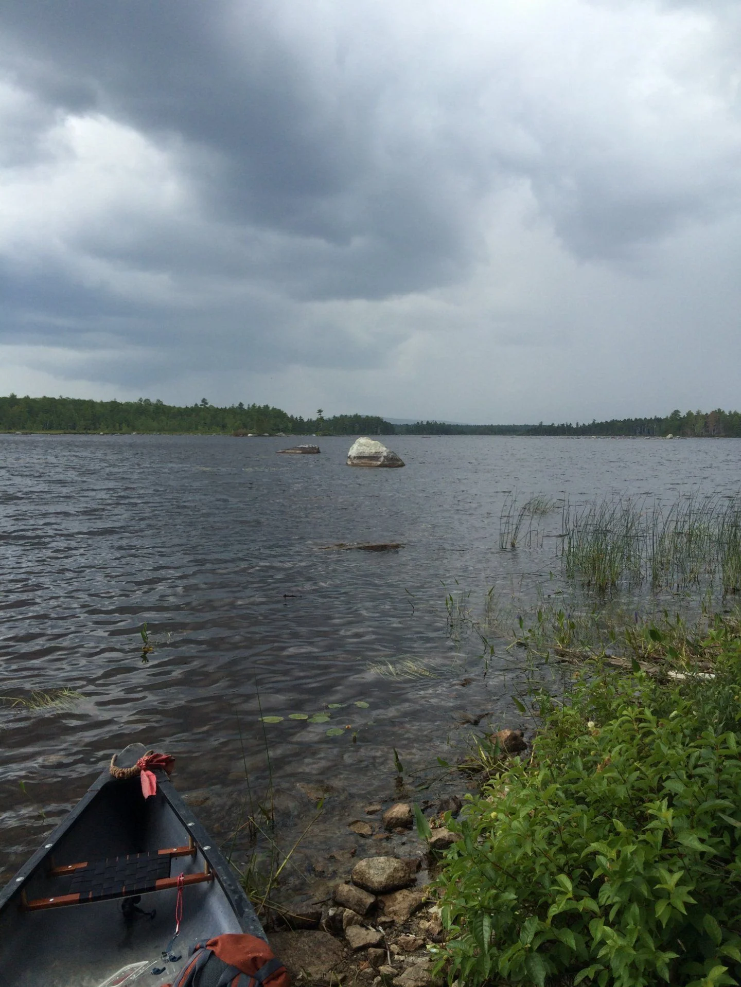 image.webp