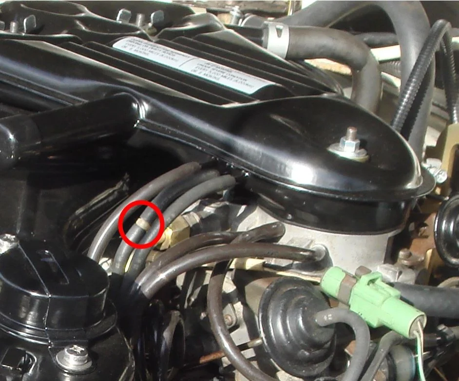 image.webp