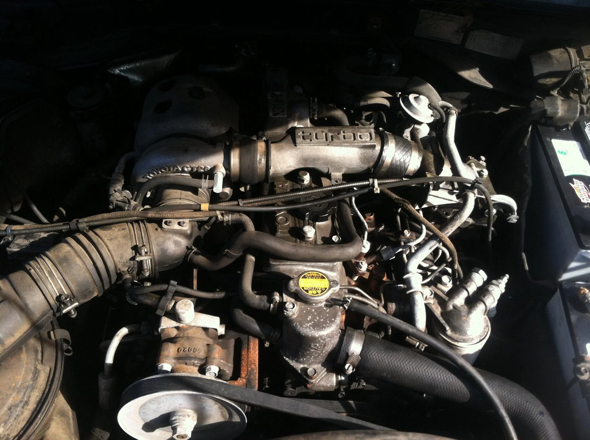 image.webp