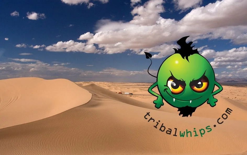 image.webp