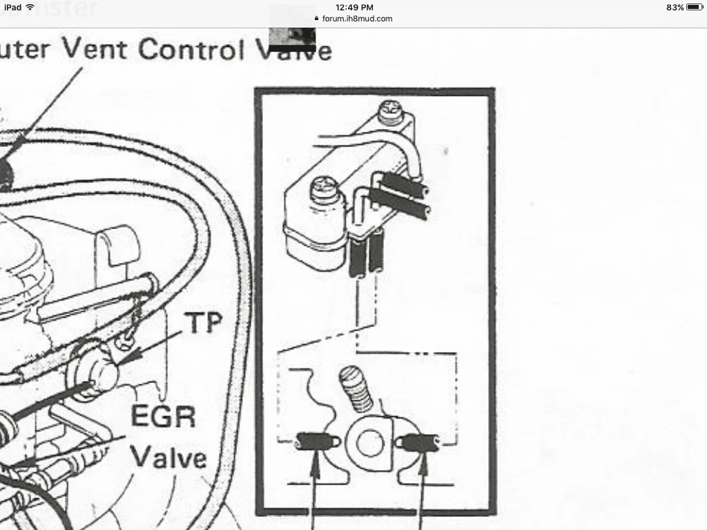 image.webp