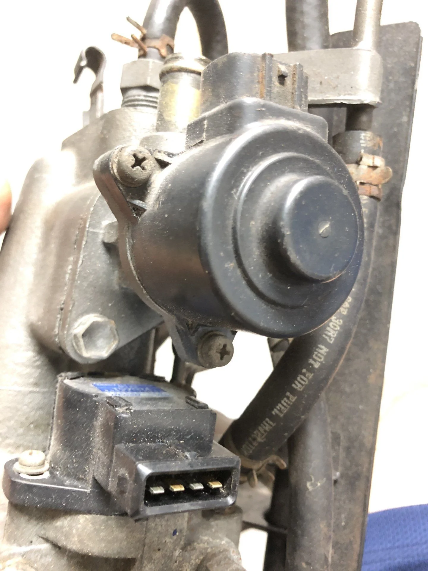 image.webp