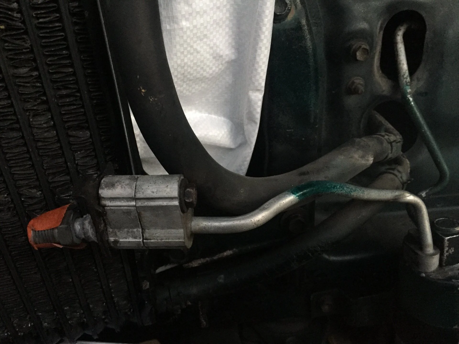 image.webp