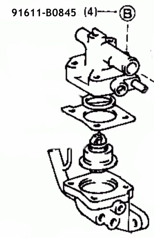 image.webp