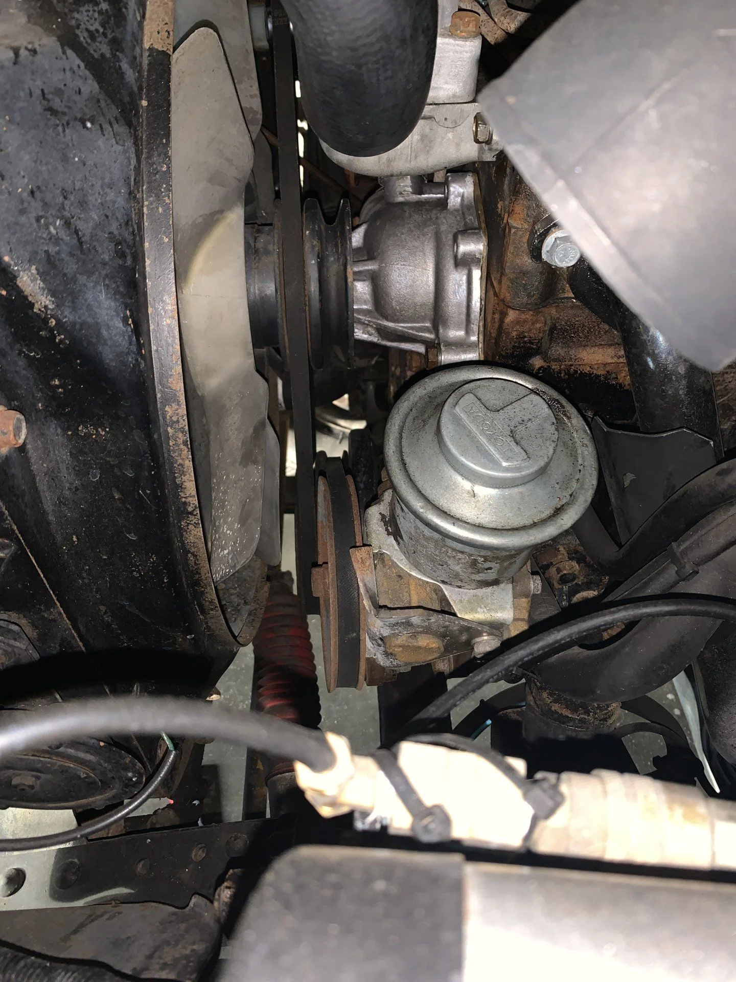 image.webp