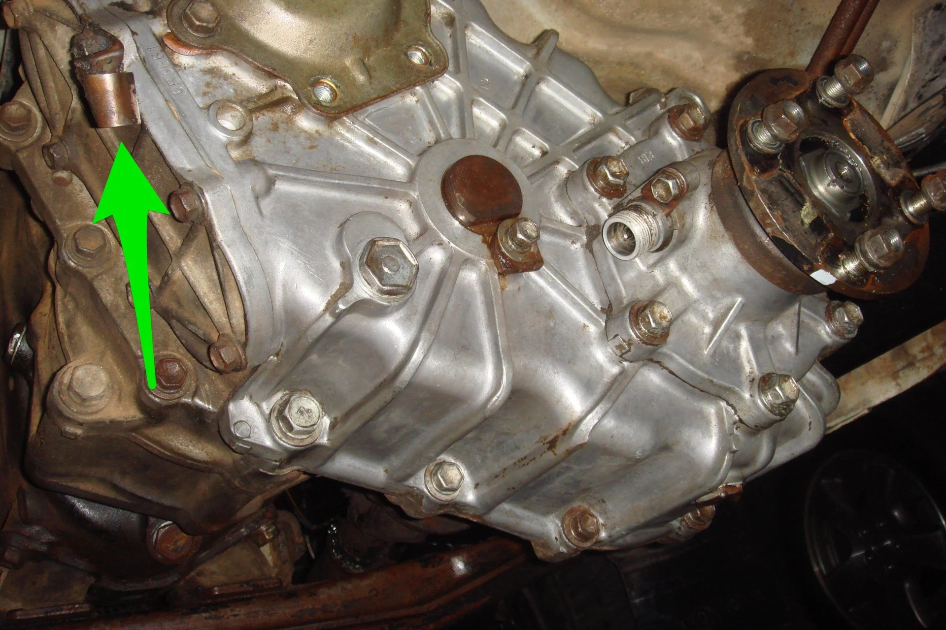 image.webp
