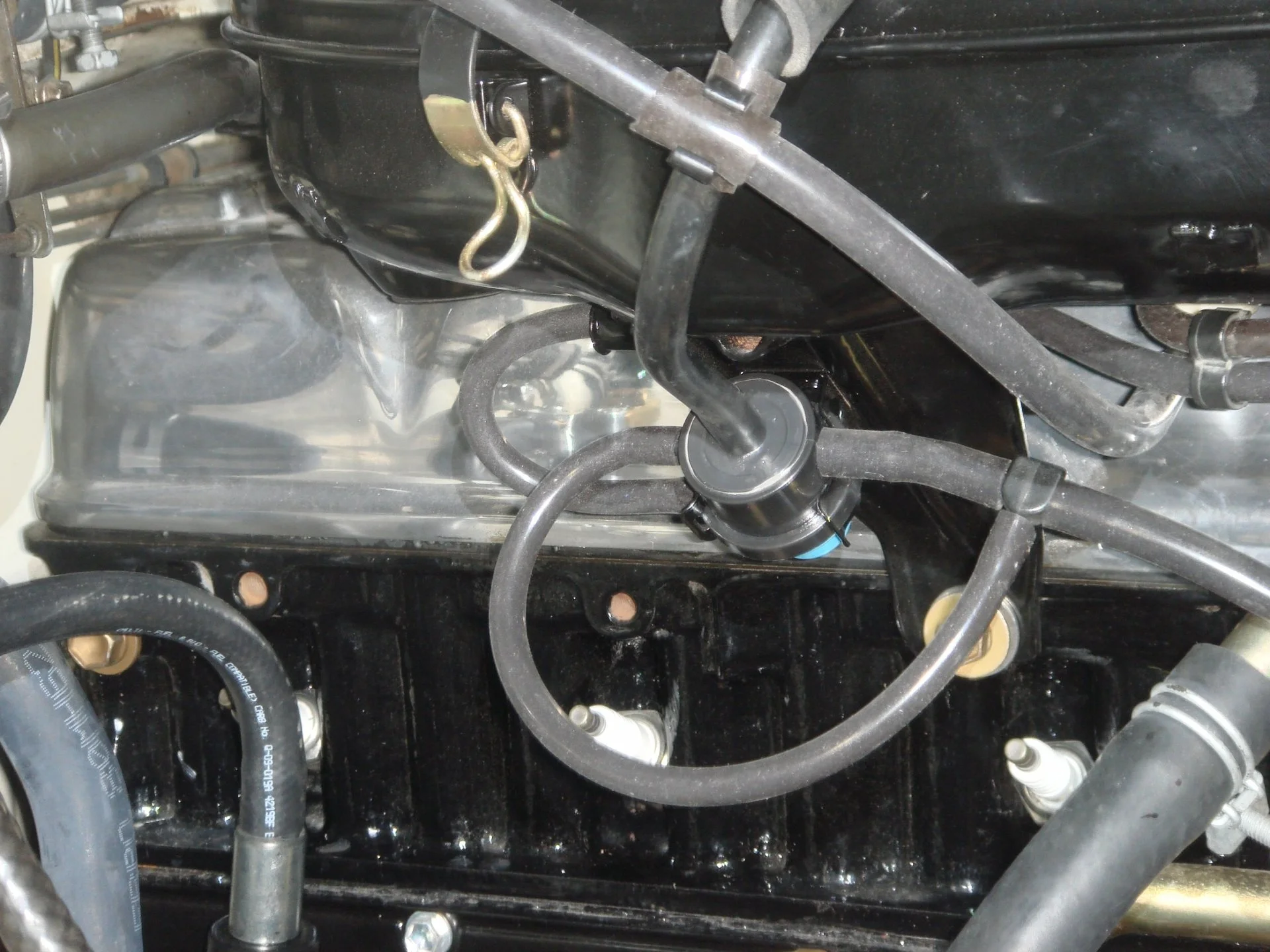 image.webp