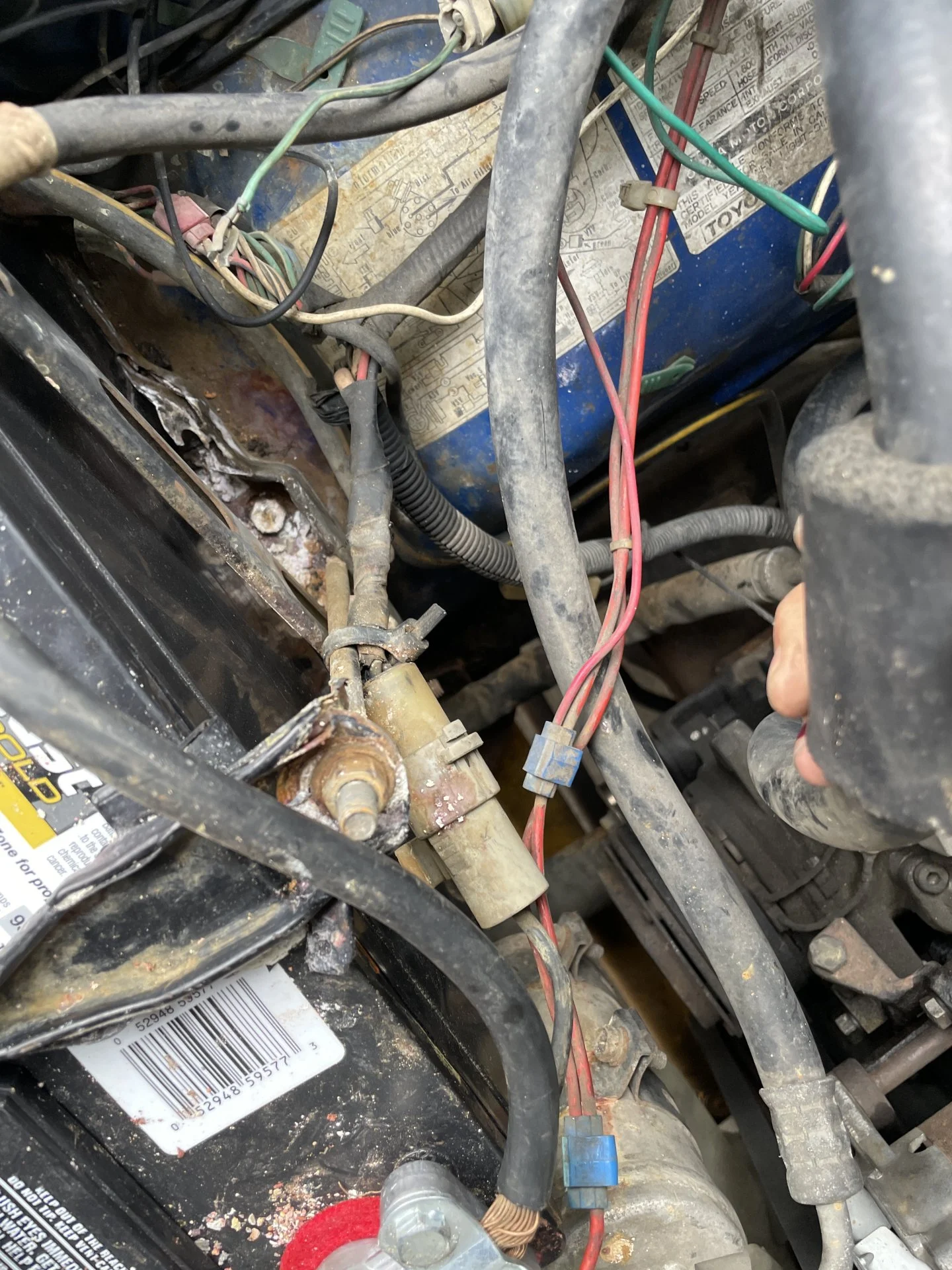 image.webp