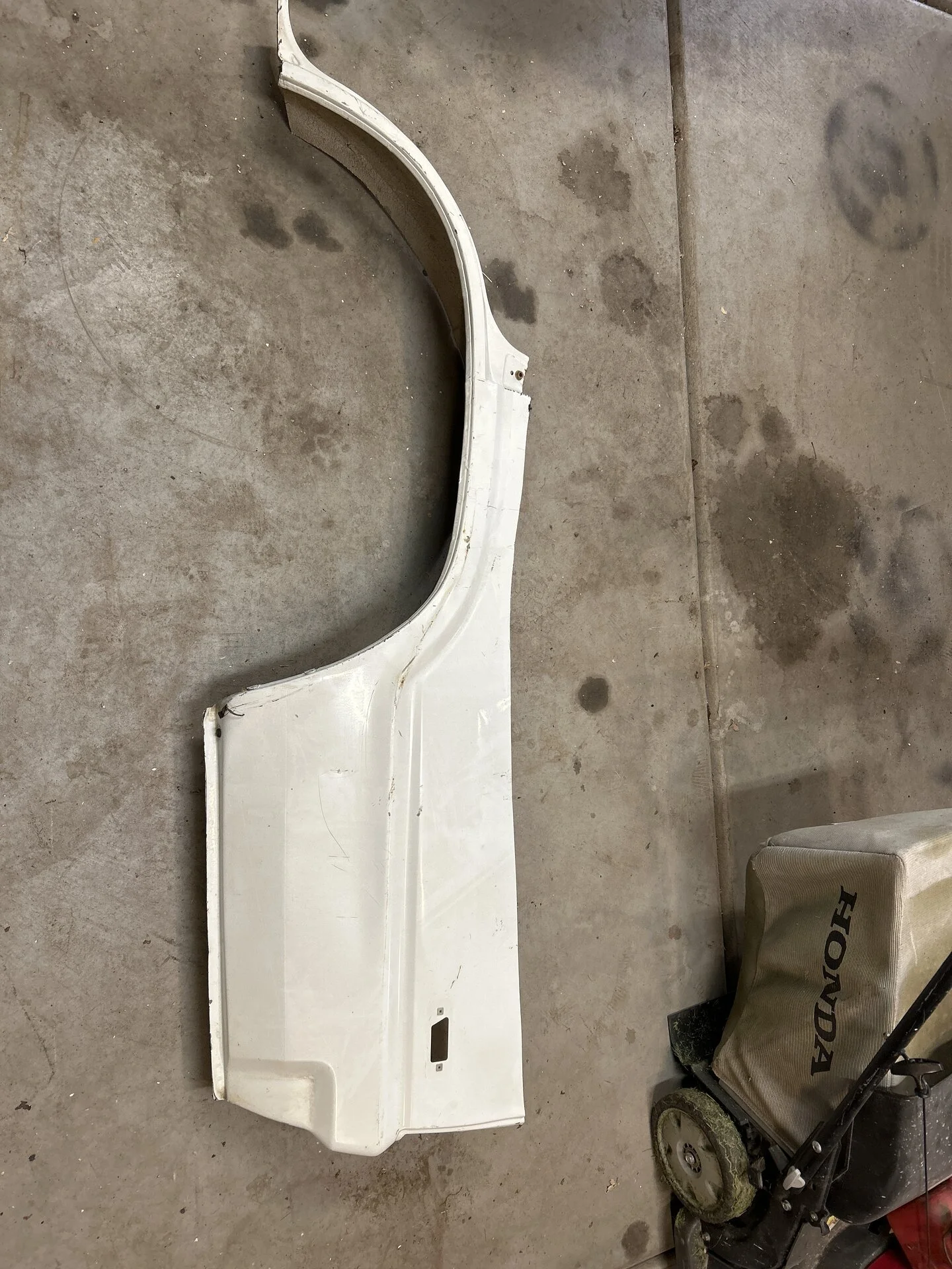 image.webp