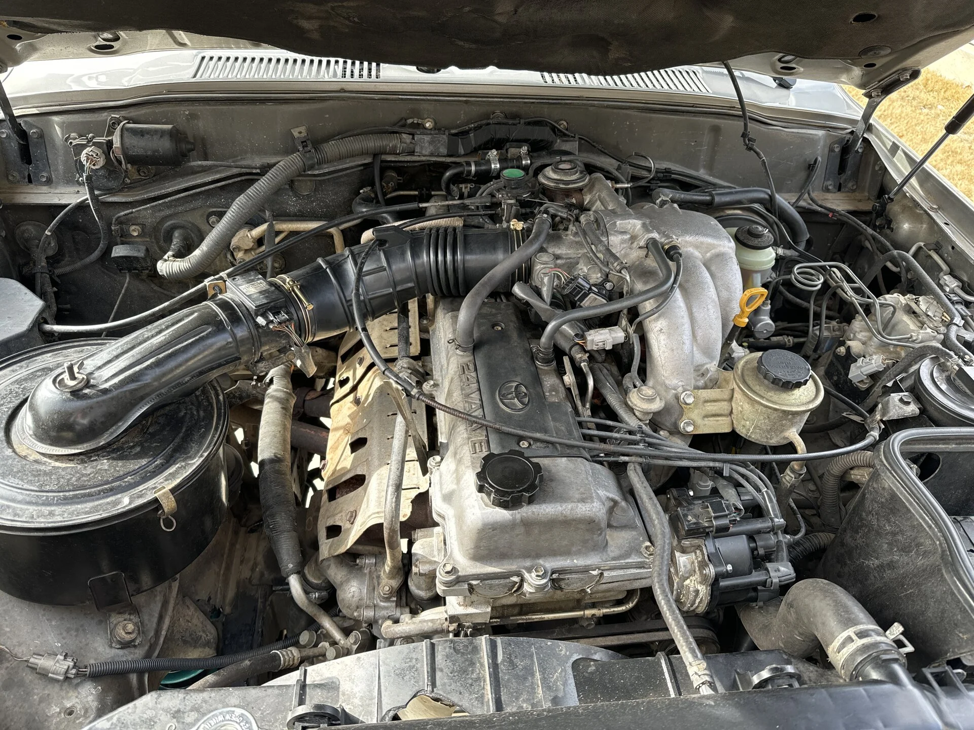 image.webp