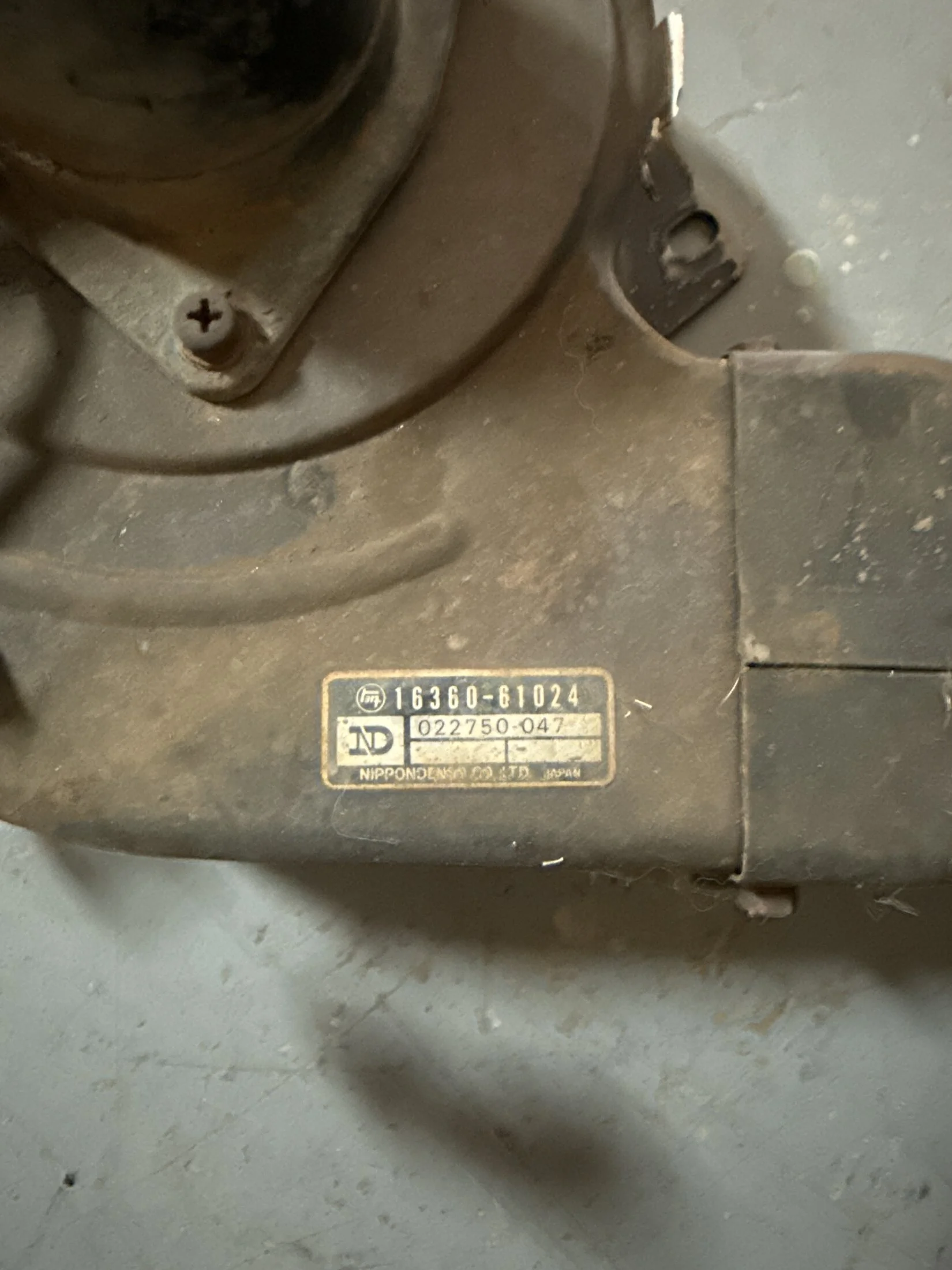 image.webp