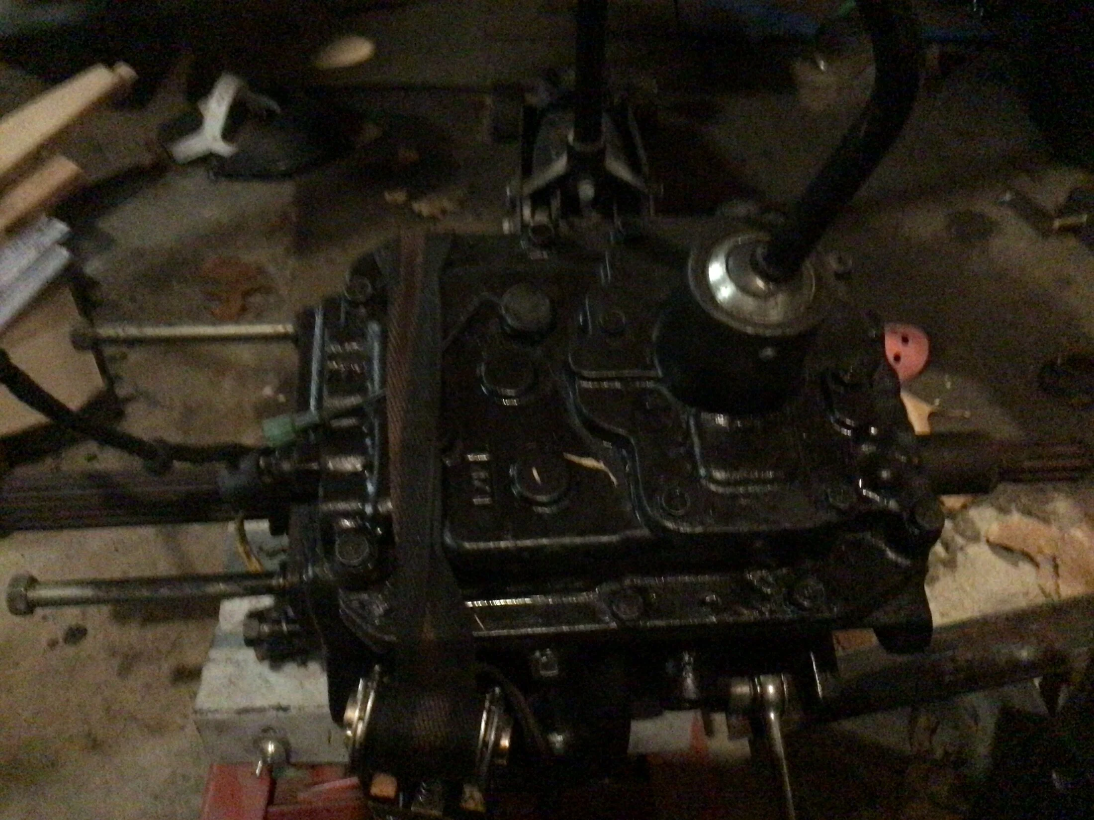 image.webp