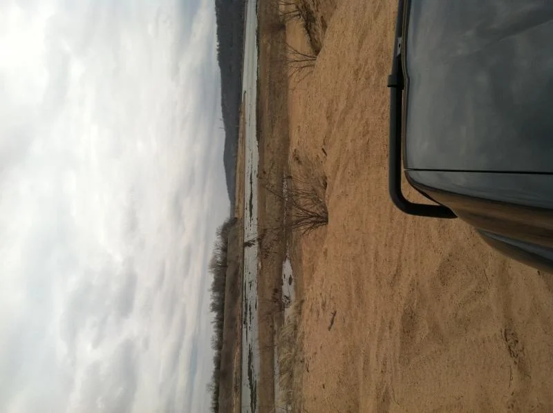 image.webp