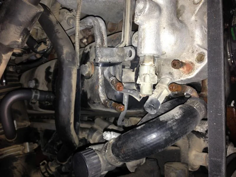 image.webp