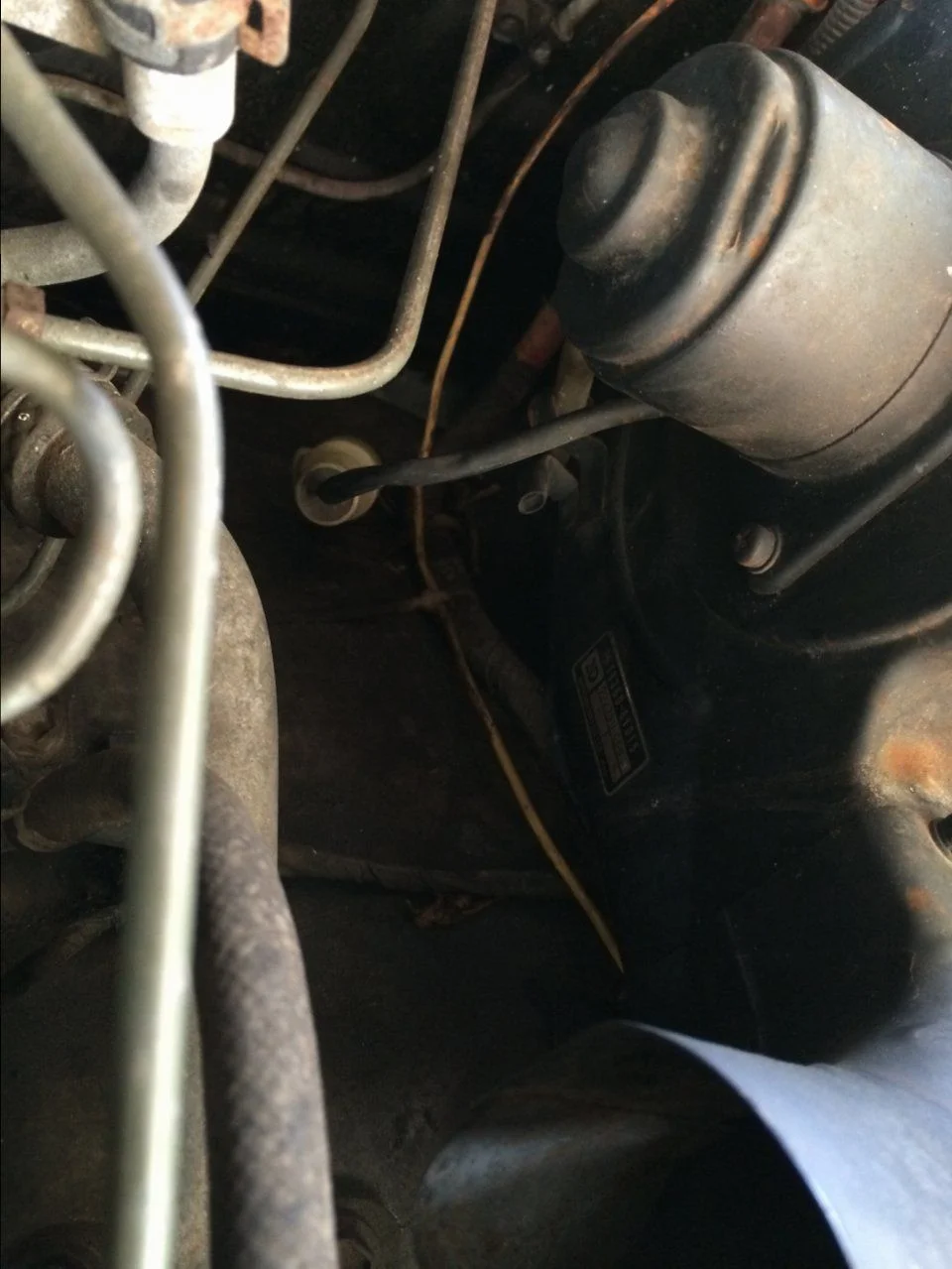 image.webp