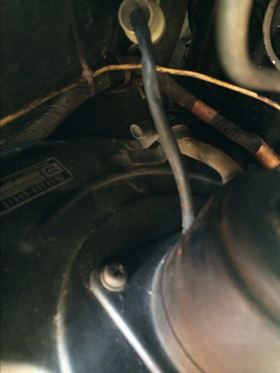 image.webp