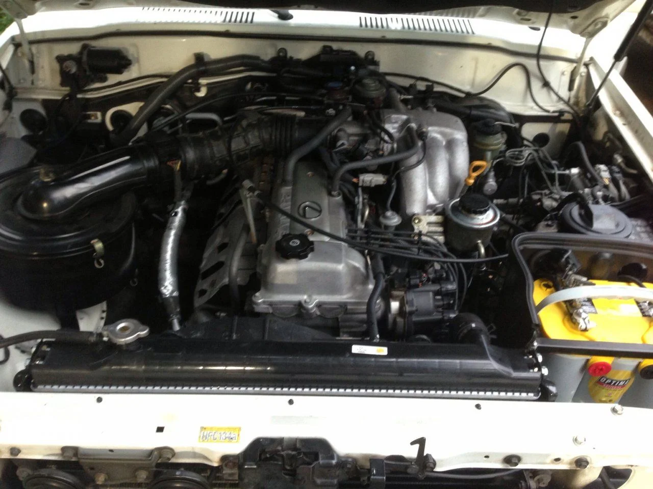 image.webp