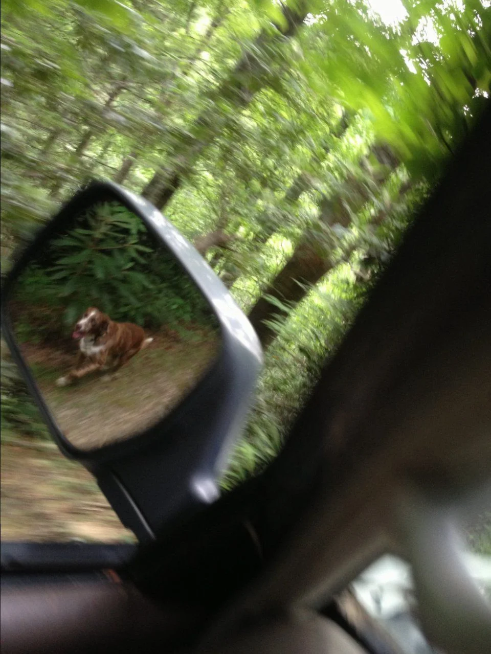 image.webp