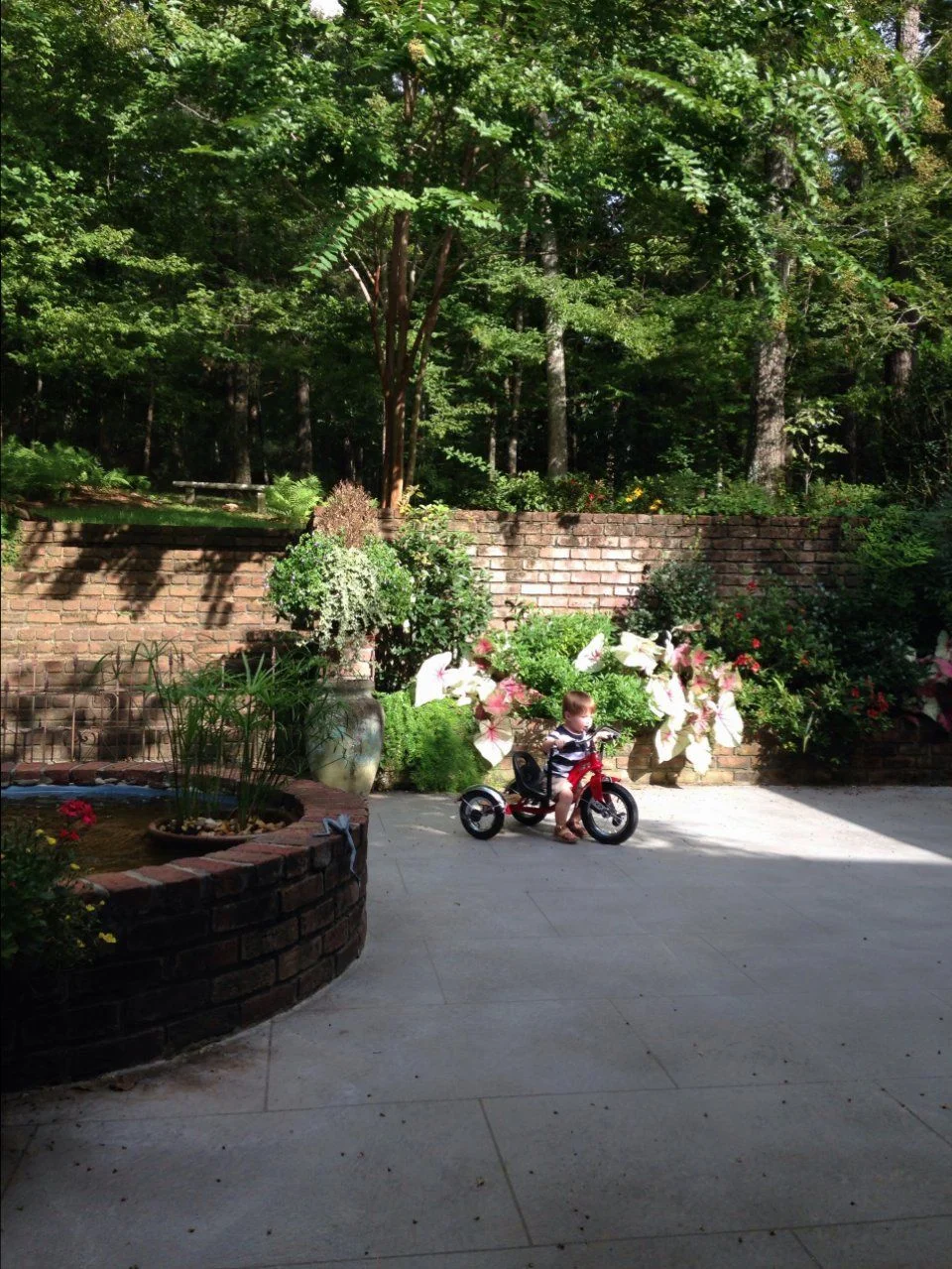 image.webp