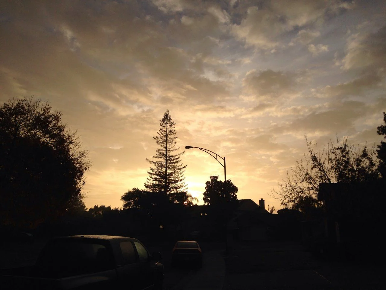 image.webp