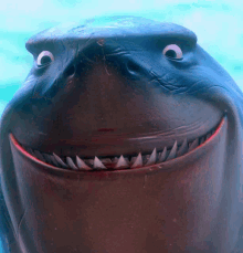 image000000.gif