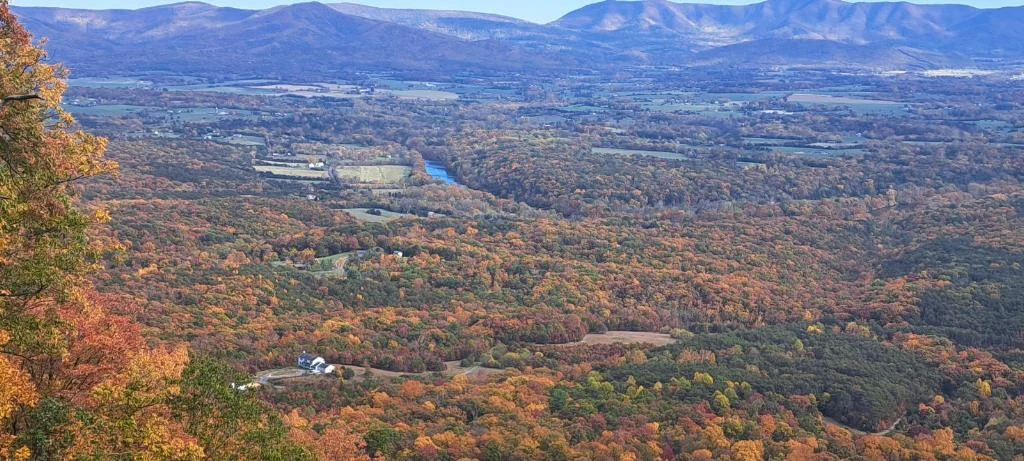 image000000.webp