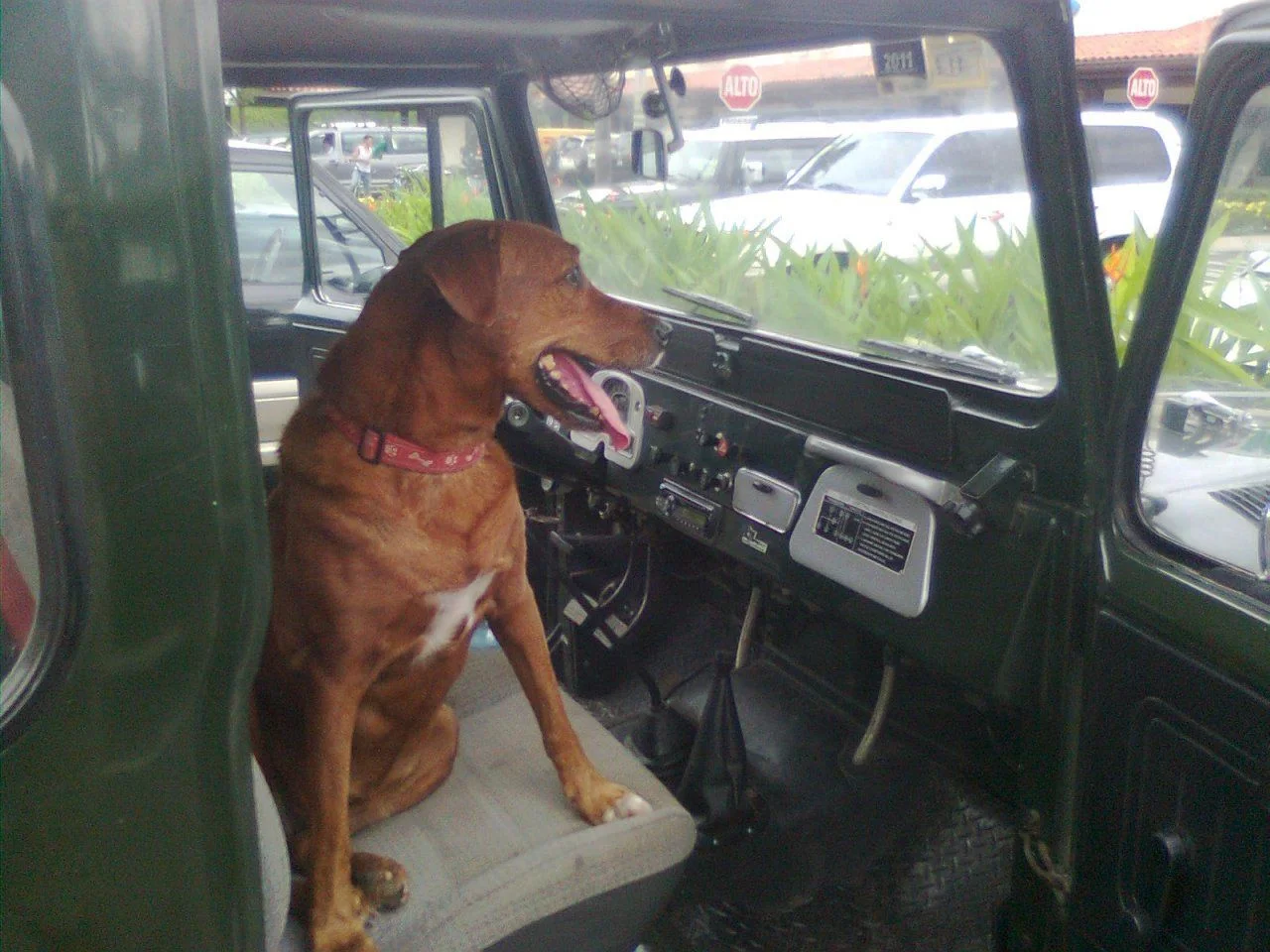 Image0119.webp