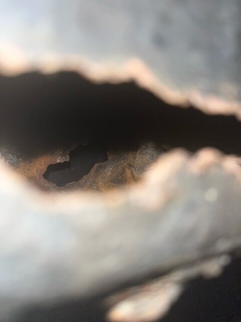 image1.jpeg