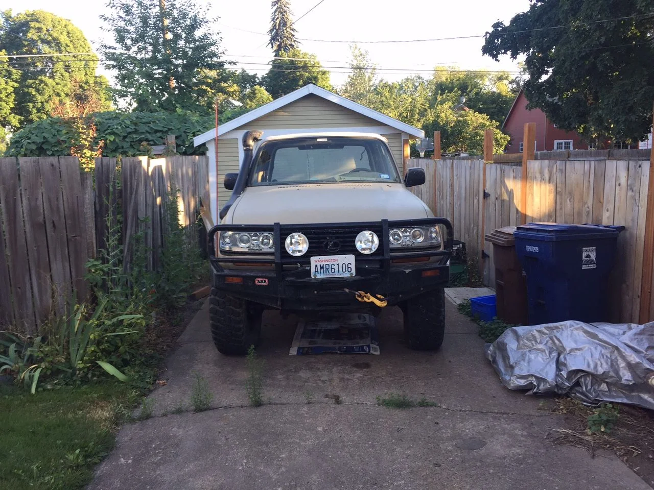image1.webp
