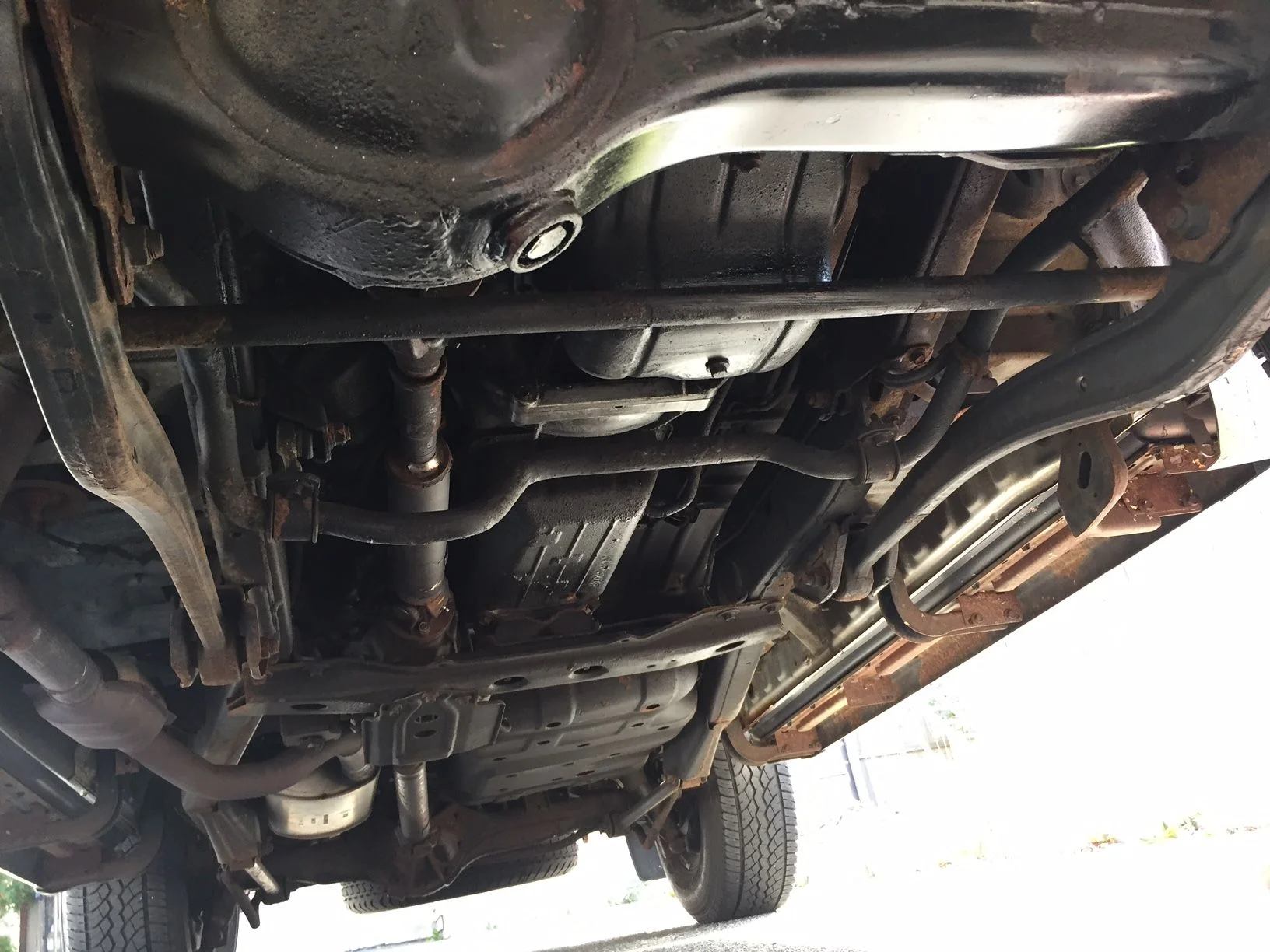 image1.webp