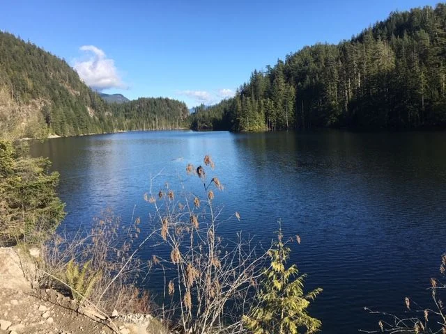 image1.jpeg