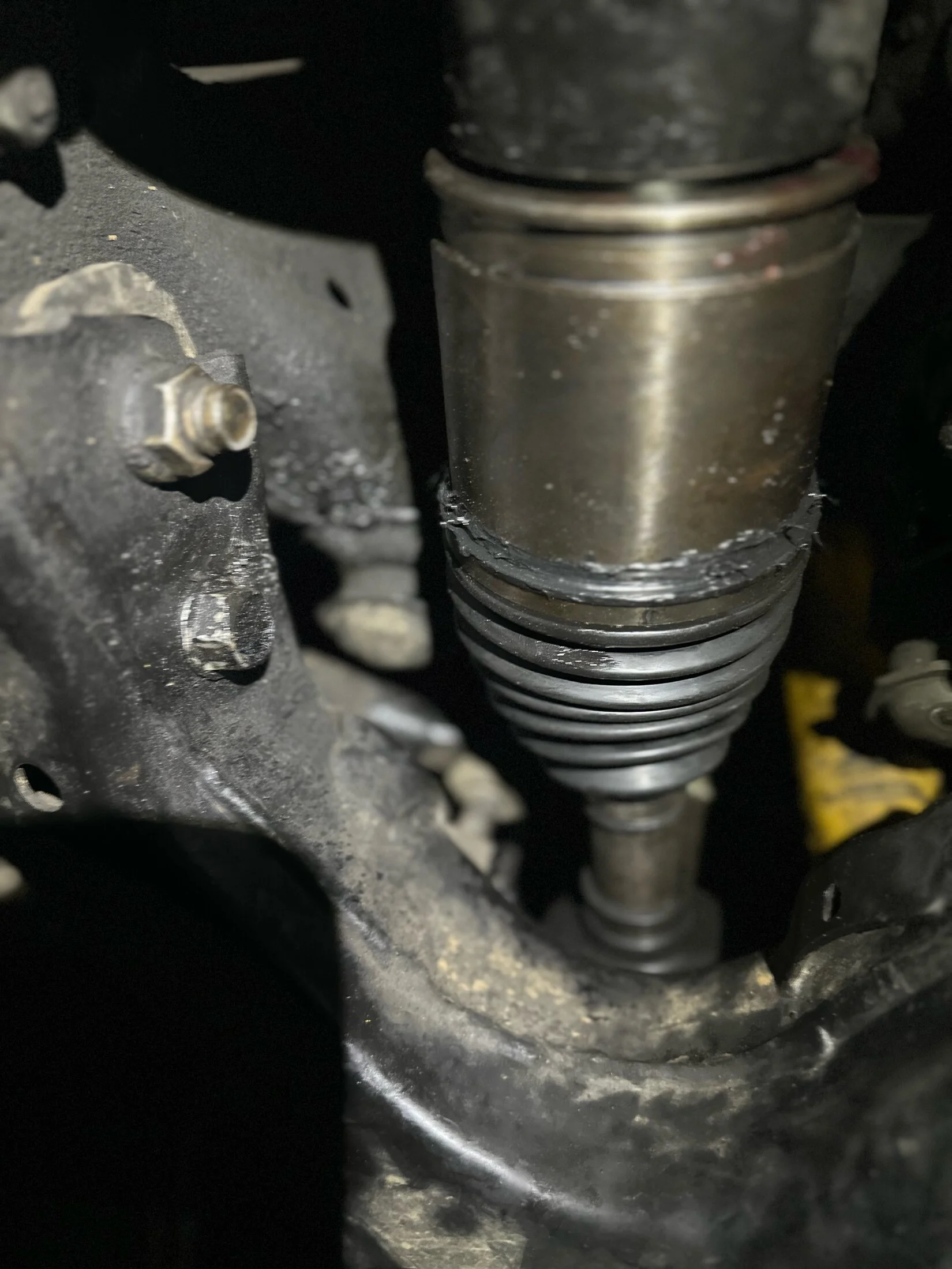image1.webp