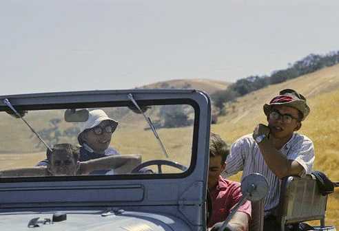 Image1.webp