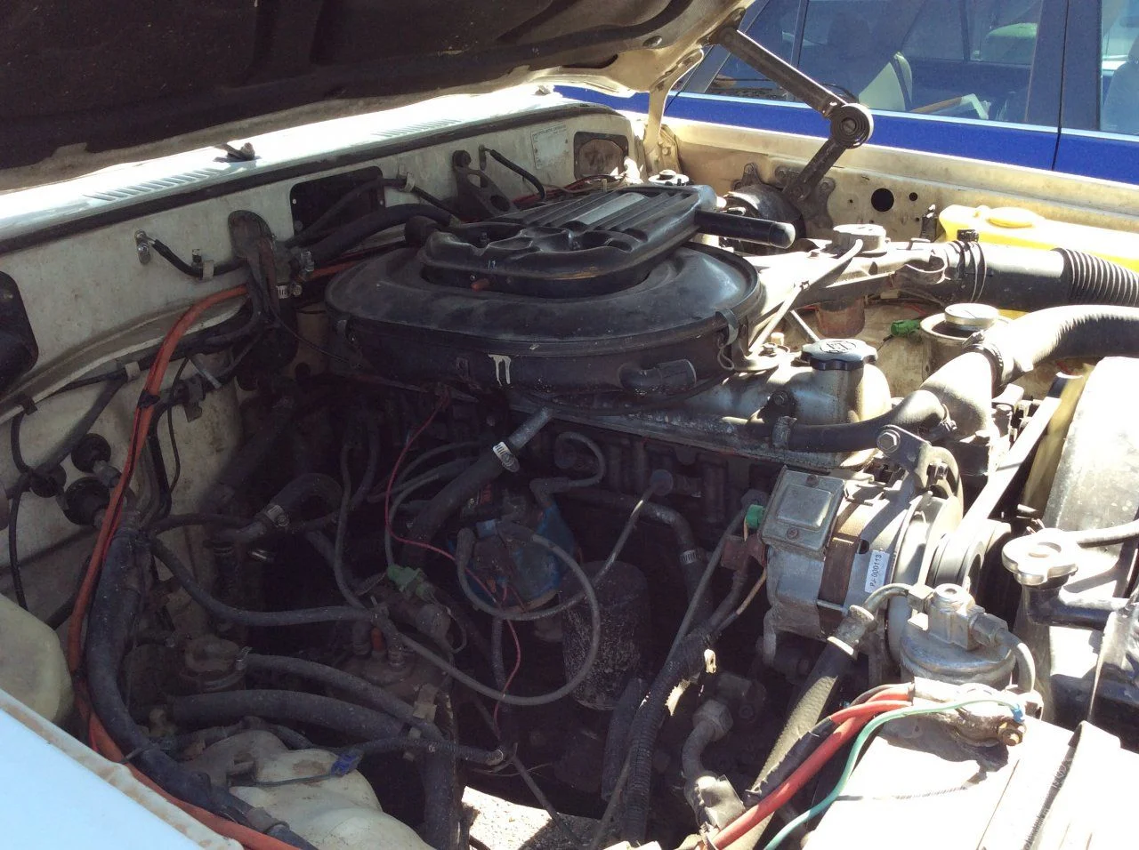 image10.webp
