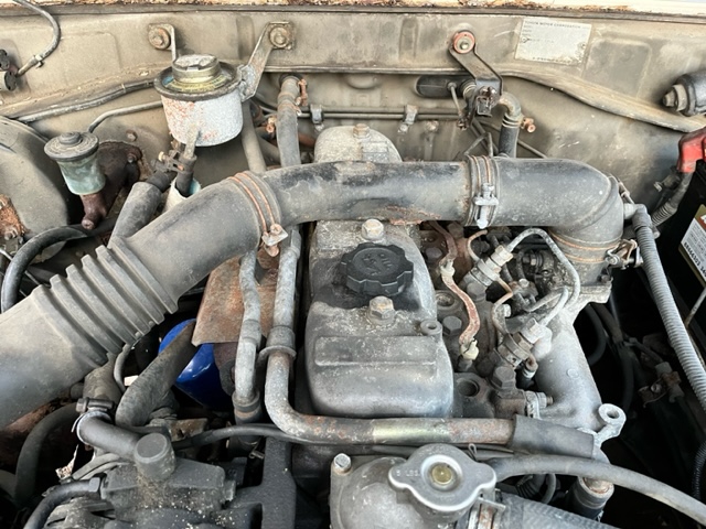 image11.jpeg