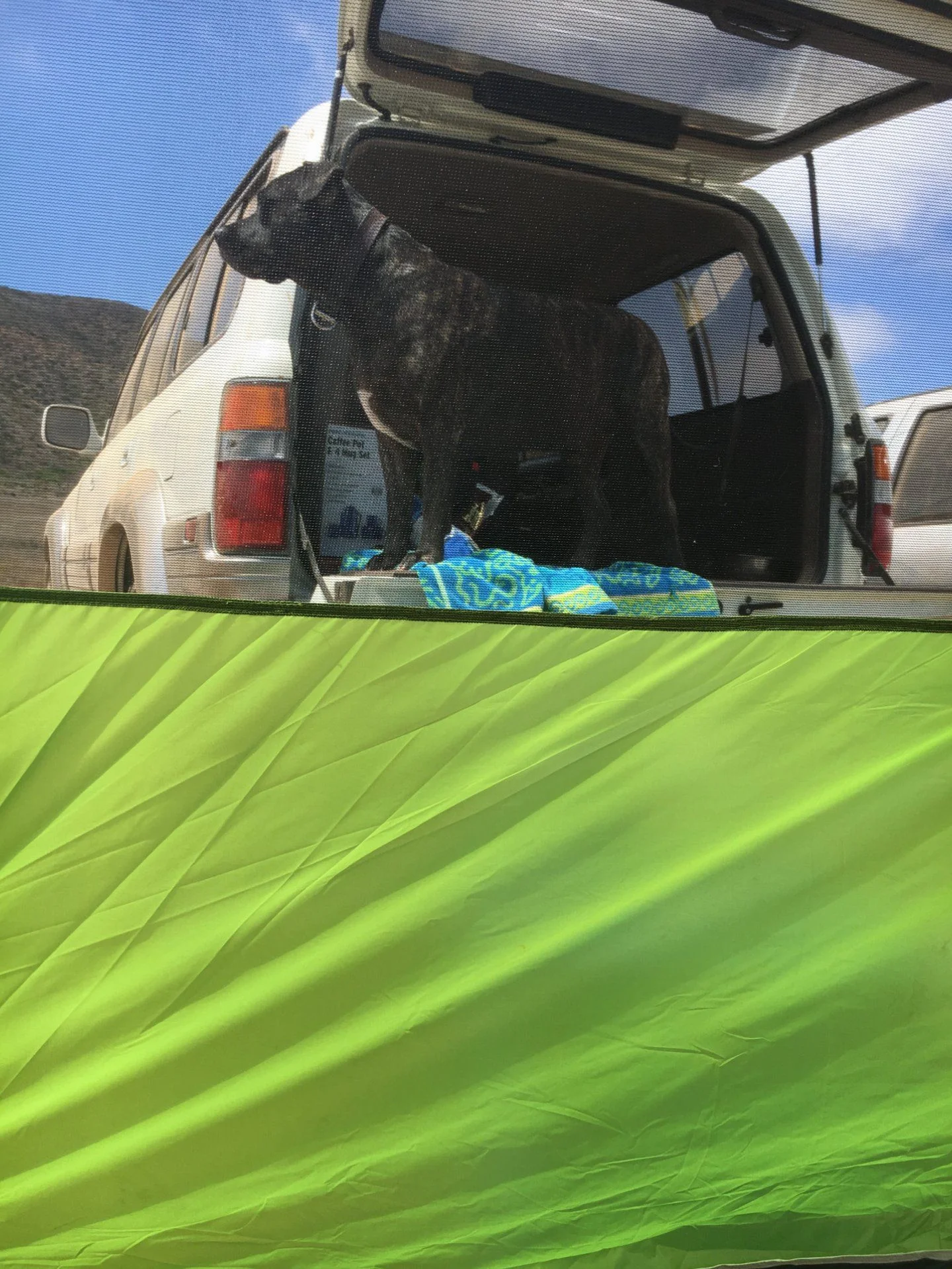 image3.webp