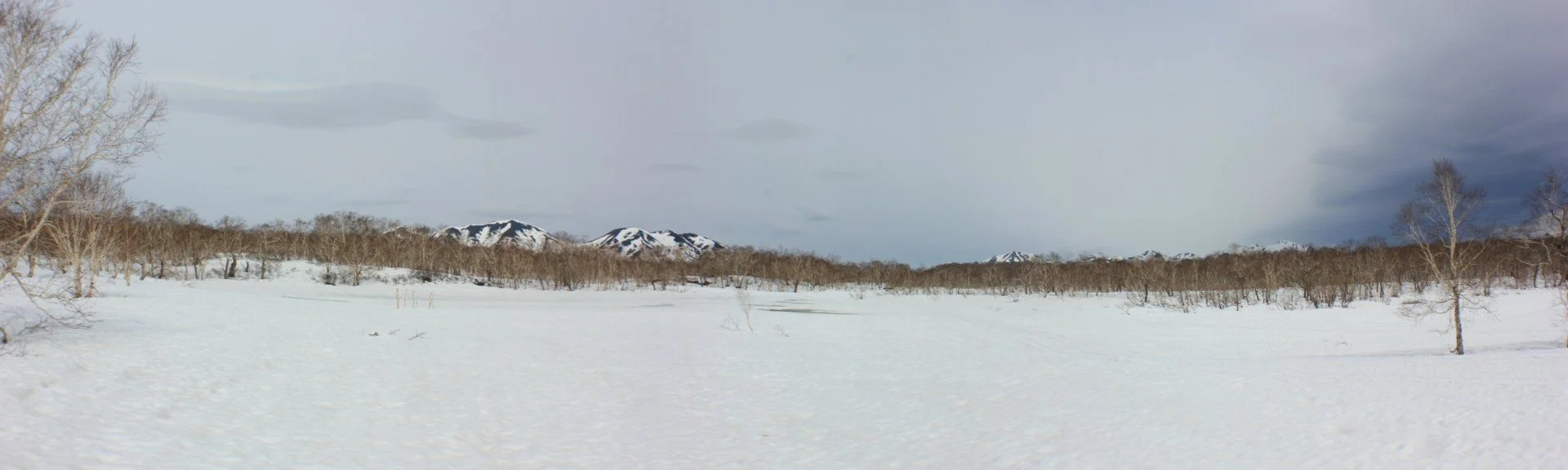 image3.webp