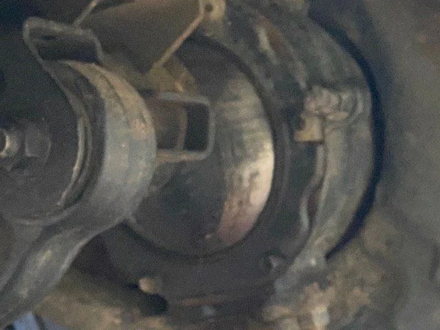 image3.webp