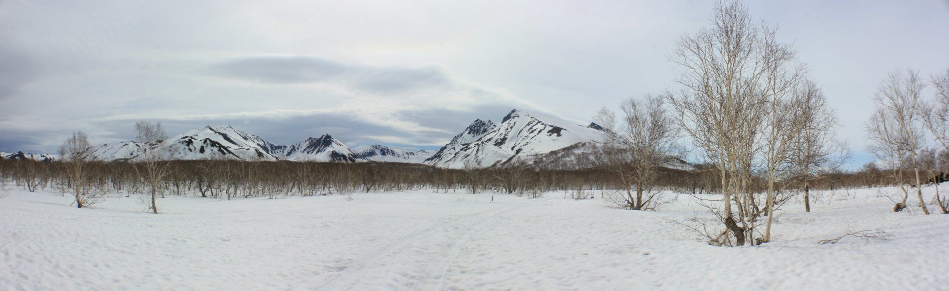 image4.jpg
