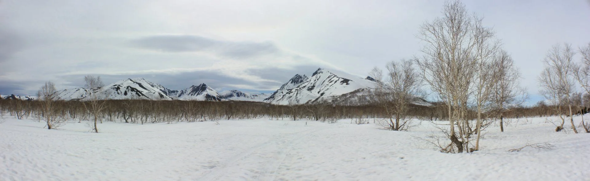 image4.webp