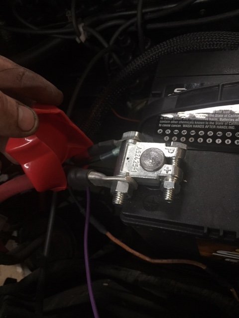 image5 (1).jpeg