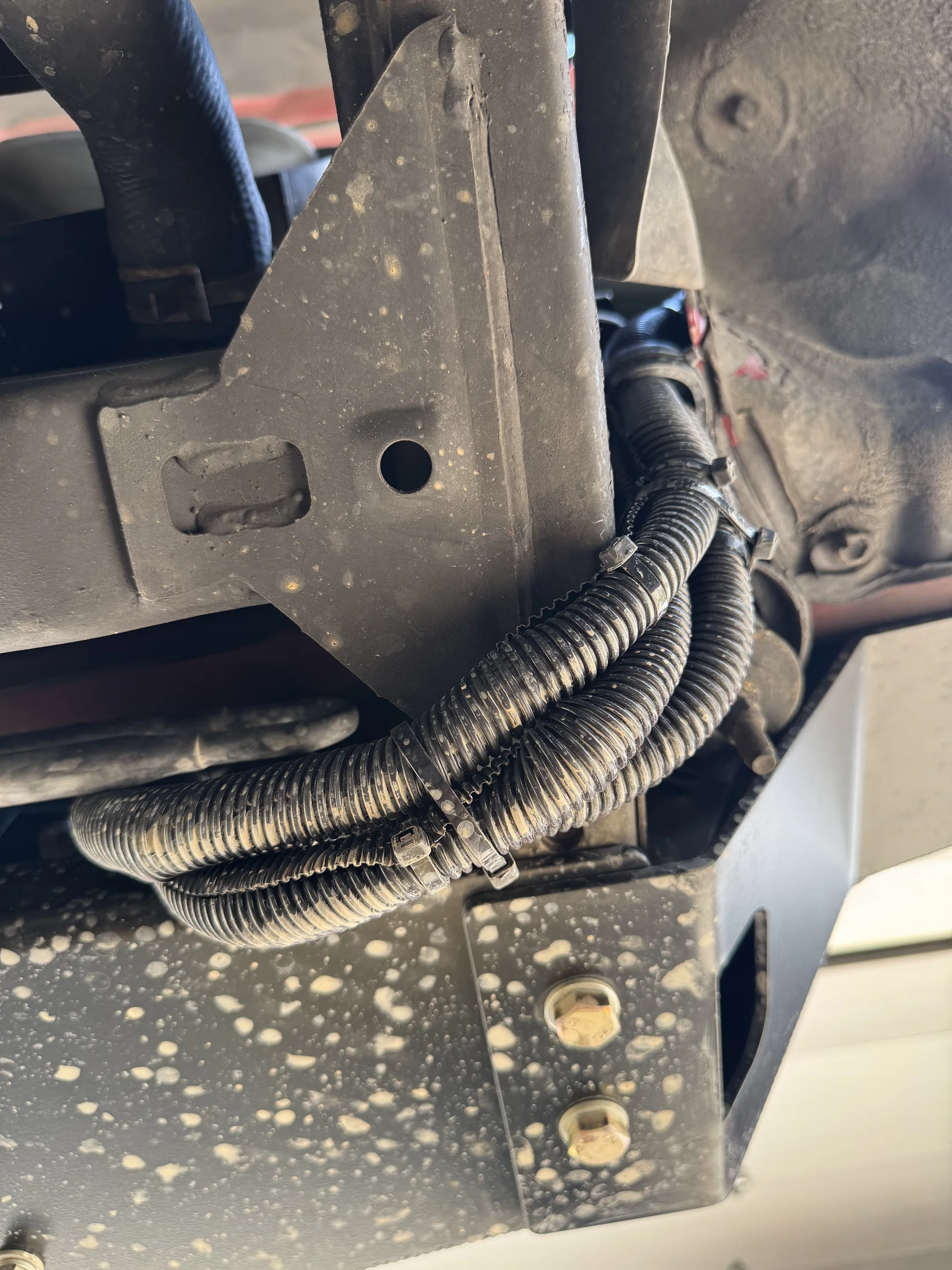 image5.webp