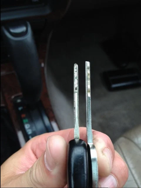 image_1.webp
