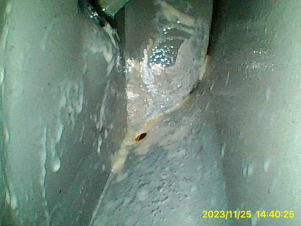Image_2023-11-25 14_40_25_859.JPG