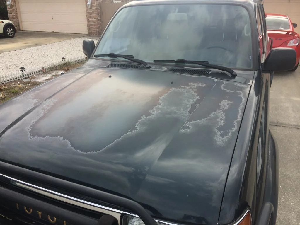 ImageUploadedByIH8MUD Forum1419555732.583534.webp