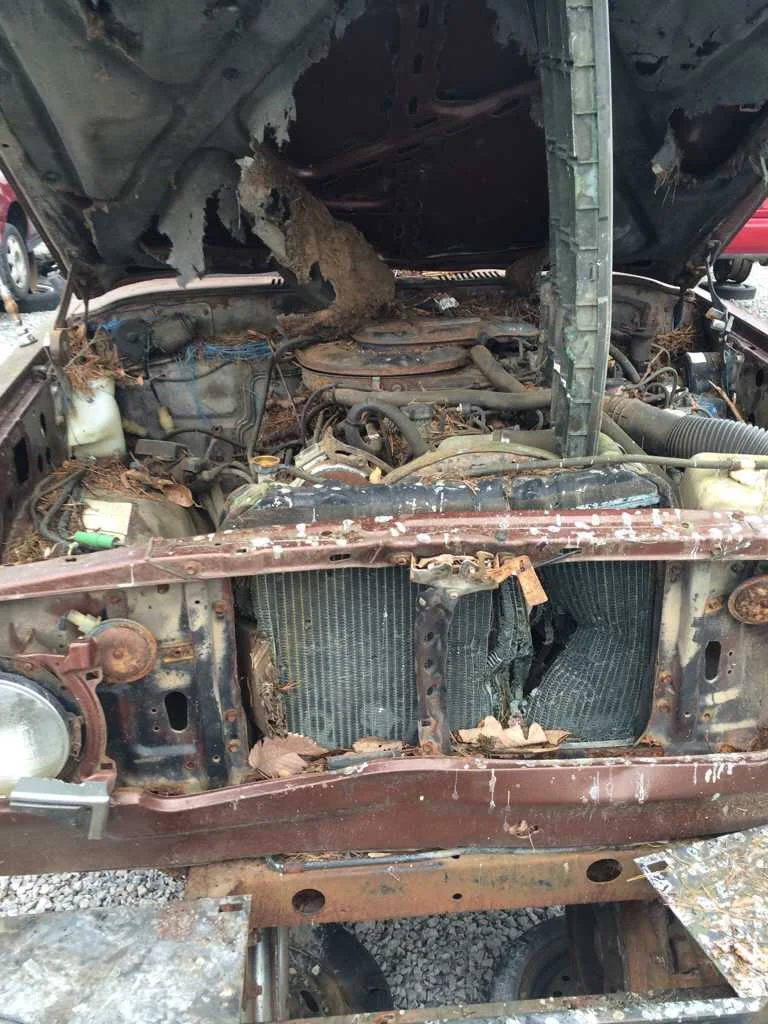 ImageUploadedByIH8MUD Forum1419702175.820355.webp