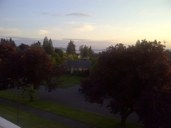 IMG-20110523-00616.webp
