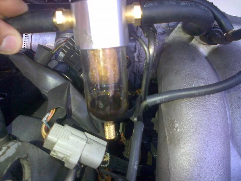 IMG-20130201-00063.webp